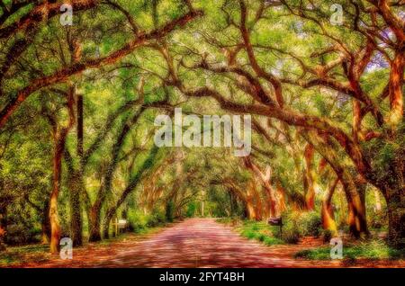 A soft-focus version (edited in post-production) of a canopy of oak trees creates a picturesque scene on Oak Street in Magnolia Springs, Alabama. Stock Photo