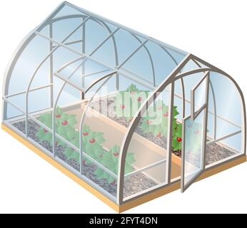 Isometric 3d realistic vector greenhouse with plants and glass with open door. Isolated illustration icon on white background. Stock Vector