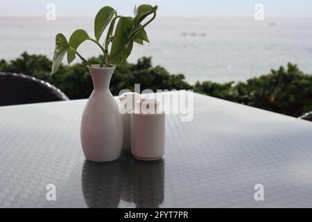 https://l450v.alamy.com/450v/2fyt7pr/a-closeup-of-ceramic-salt-and-pepper-shakers-next-to-a-vase-reflected-on-the-table-overlooking-the-bay-2fyt7pr.jpg
