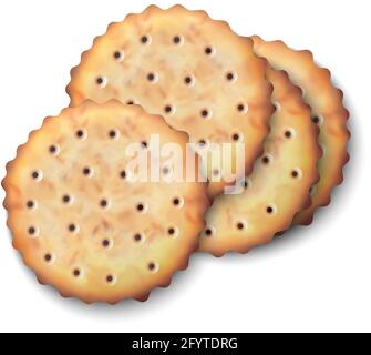 3d realistic vector isolated illustration icon of salted crackers. Stock Vector