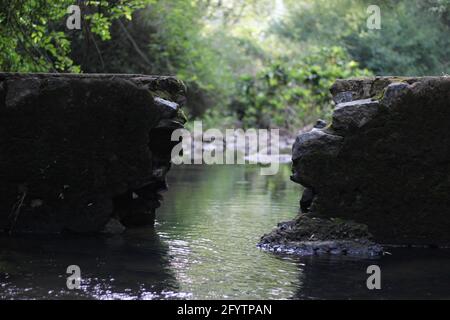 Broken dam in deep forest for animals drinking water Stock Photo