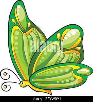 Beautiful green butterfly with ornaments on the wings, vector illustration Stock Vector