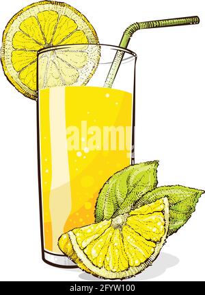Lemonade with lemon slices and lemon leaf, vector illustration Stock Vector