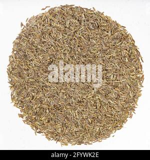 Kalazeera handful of kala zeera seeds (elwendia persica, black cumin) closeup on ...