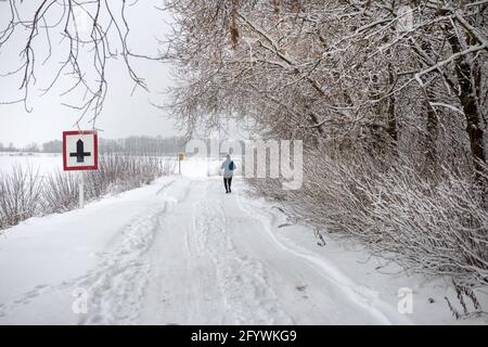 The road covered with snow under the branches of trees along the water channel. And the man running along it Stock Photo