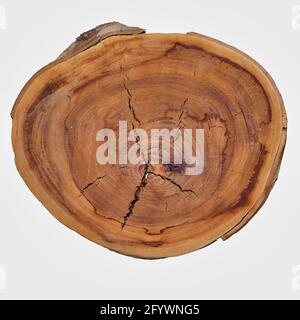 Rustic Wooden Disc. Copy Space. White Background. Stock Image. Stock Photo