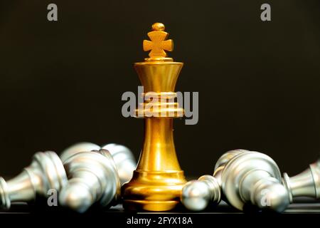 Chess Piecescheckmate Gold King Winner Surrounded With Silver