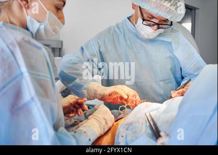 Doctors performing abdominoplasty or tummy tuck surgery in operating room. Male plastic surgeon and female assistant doing abdominal plastic surgery. Concept of medicine, tummy tuck, cosmetic surgery. Stock Photo