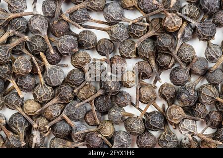 food background - many tailed pepper (cubeb) close up Stock Photo