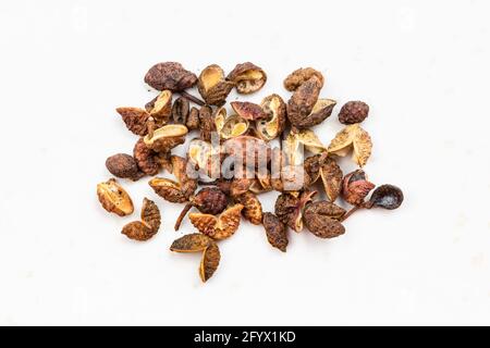 several dried pink sichuan peppercorns close up on gray ceramic plate Stock Photo