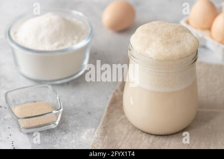 close-up of fermented sourdough starter in glass jar on gray background. Fermentation process. horizontal image. Stock Photo