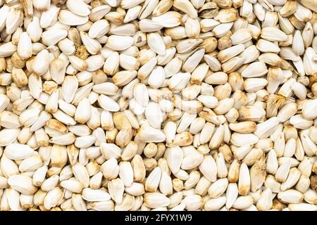 food background - many safflower seeds close up Stock Photo