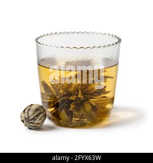 Chinese dried tea pearl growing in a glass tea cup isolated on white background Stock Photo
