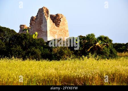 Tower in  the field Stock Photo