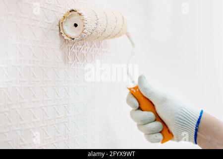 A gloved hand and a paint roller paint the wall in beige. The concept of renovation of premises. Close-up Stock Photo