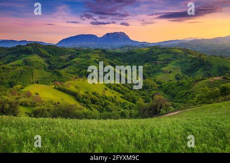 Magical summer rural scenery with green fields and forests on the slopes at sunset. Piatra Craiului mountains in background, Holbav, Romania, Europe Stock Photo