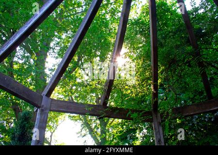 Looking out through the rafters to a sunburst treeline from a gazebo at Rutgers Gardens in New Brunswick, New Jersey -04 Stock Photo