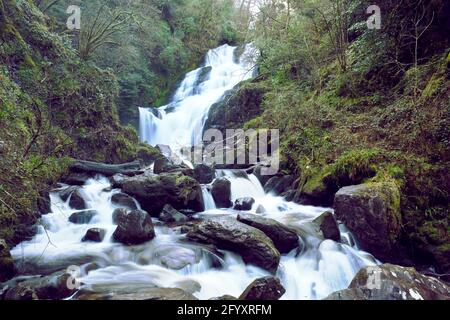 Torc waterfall in Killarney National Park, Co. kerry, Ireland, Europe, 2018 Stock Photo