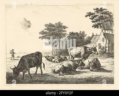 Cows and sheep lying in meadow for farm. Stock Photo