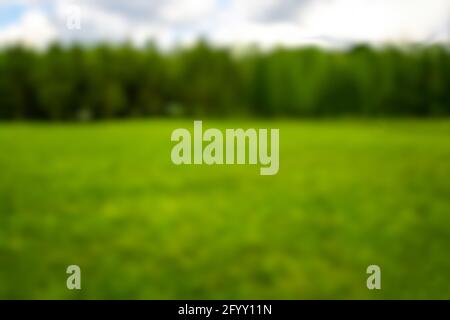 Blurred landscape of green lawn and forest background. Stock Photo