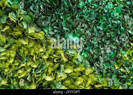 Artificial decorative landscaping on the wall background. Stock Photo