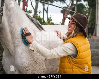 Side view of stylish young female equestrian with long blond hair in casual clothes and hat brushing graceful gray horse with groomer in ranch Stock Photo