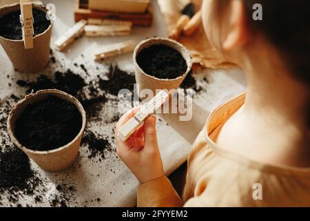 6 years old girl planting herbs at home Stock Photo