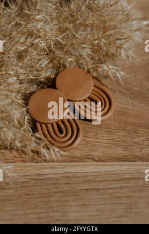 High angle of creative stylish earrings placed near bunch of fluffy plants Stock Photo