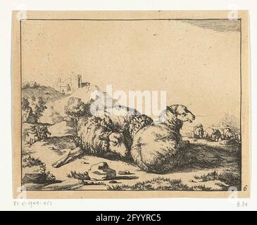 Two lying sheep, mountain village in background; Sheep. Stock Photo