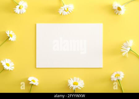 Chamomiles flowers and white paper card mockup on yellow background. Happy Mother's Day, Women's Day, birthday greeting card template. Stock Photo