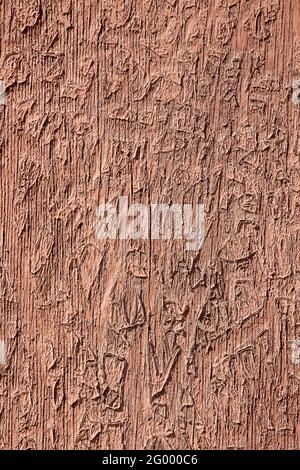 old ragged from age boards with peeled paint layer with wooden texture close-up. Stock Photo