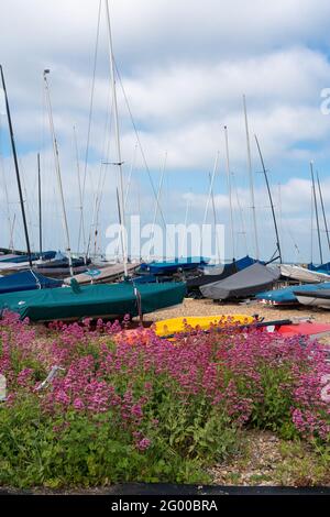 Deal is a Pebble beach located near Deal in Kent Stock Photo