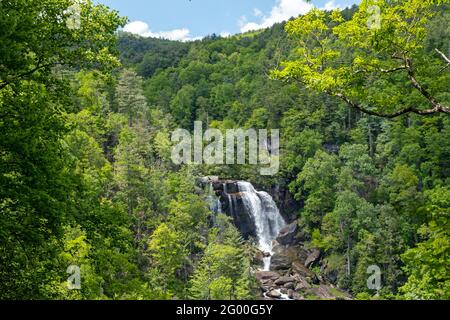 Upper Whitewater Falls Stock Photo