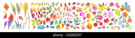 Leaf collection - vector silhouette Stock Vector