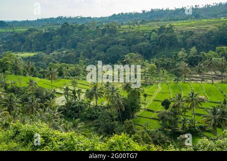 View from Senaru, Lombok, Indonesia Stock Photo
