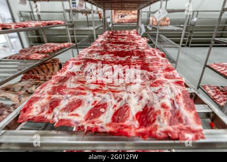 Raw fresh beef ribs are on a metal shelf. Stock Photo