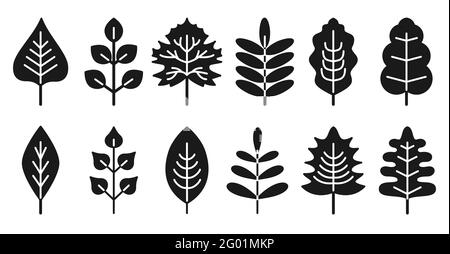 Set black silhouettes leaf isolated on white background. Realistic autumn leaves with white streaks. Simple flat style, vector illustration for scrapbooking, notebook, dishes.Simple glyph Stock Vector