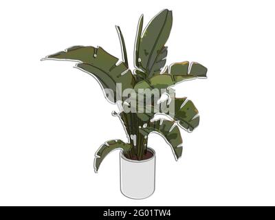 Foliage, banana palm tree in a white ceramic pot with cracked leaves, front view, marker style, 3D Stock Photo