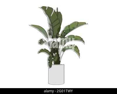 Foliage, banana palm tree in a white ceramic pot with cracked leaves, front view, marker style, 3D Stock Photo