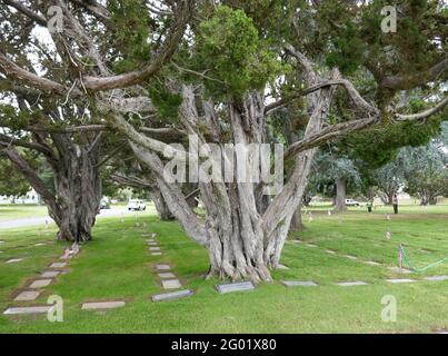 Santa Ana, California, USA 29th May 2021 A general view of atmosphere of Fairhaven Memorial Park in Santa Ana, California, USA. Photo by Barry King/Alamy Stock Photo Stock Photo