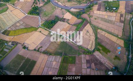 Aerial view of Paddy field after harvesting and preparing the area to grow rice in the new season in NAN, THAILAND. agricultural concept Stock Photo