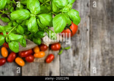 Fresh basil leaves, green herbs of italian cuisine, aromatic spice for seasoning Stock Photo