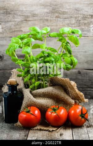 Italian food cooking ingredients, tomatoes and fresh basil, green herbs in cuisine Stock Photo