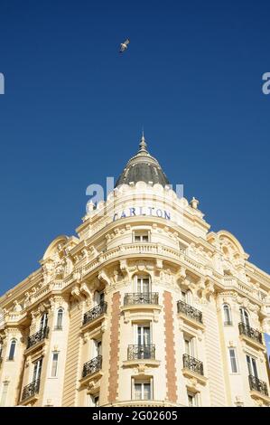 FRANCE. ALPES-MARITIMES (06). CANNES. CROISETTE BOULEVARD. CARLTON HOTEL Stock Photo