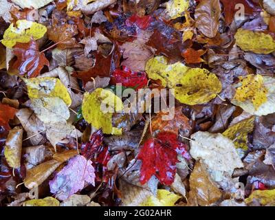 New England in the Fall 14.10.15 Stock Photo