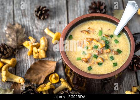 Cream soup with mushrooms and fresh chanterelles mushroom on wooden rustic background Stock Photo