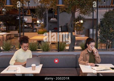 Wide angle shot of two young women using laptops while working at cafe tables with social distancing, covid safety concept, copy space Stock Photo