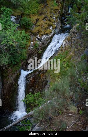 Waterfalls on the Peguera river, in the Peguera valley (Pallars Sobirà, Catalonia, Spain, Pyrenees) Stock Photo