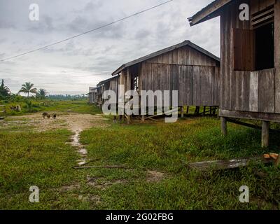 Mabul, West Papua, Indonesia - January 2015: Wooden houses on stilts in a small village built by the indonesian government for Korowai people. Asia Stock Photo