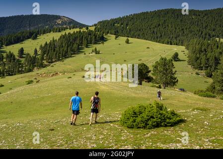 Hike through the green meadows on the upper part of the Serra del Verd range (Berguedà, Catalonia, Spain, Pyrenees) Stock Photo